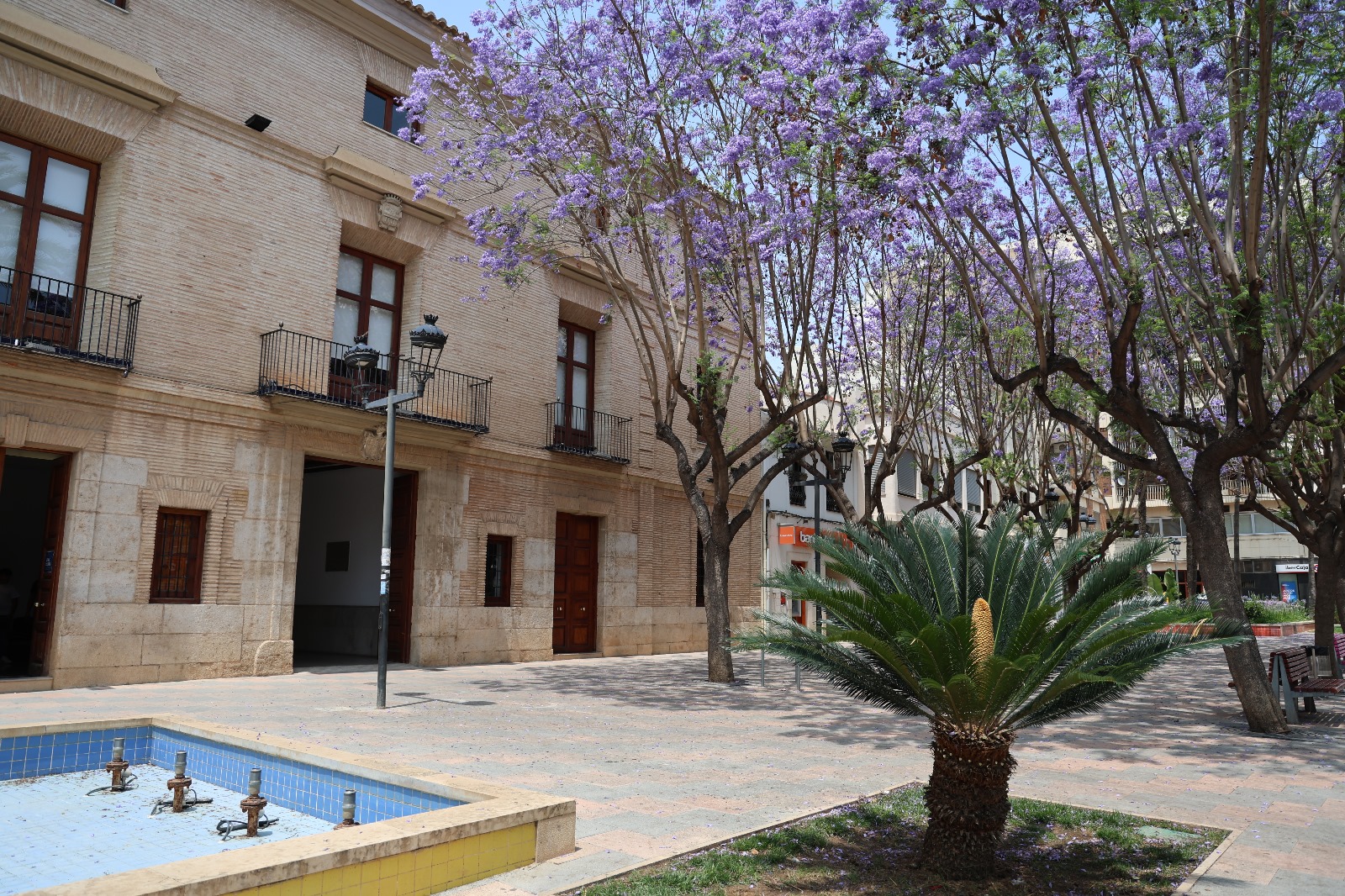 Lee más sobre el artículo El Ayuntamiento de Catarroja abre un canal de participación ciudadana para el Plan de Recuperación después de la DANA