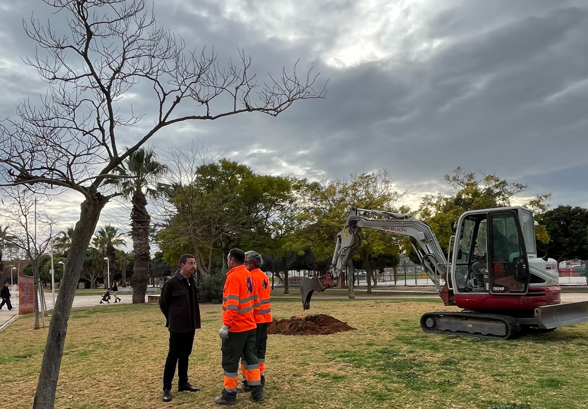 Lee más sobre el artículo Catarroja licita la reposición del arbolado viario para continuar recuperando la infraestructura verde después de la dana